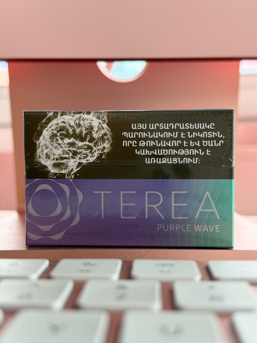 TEREA Purple wave Ментол лесные ягоды черника (Армения)