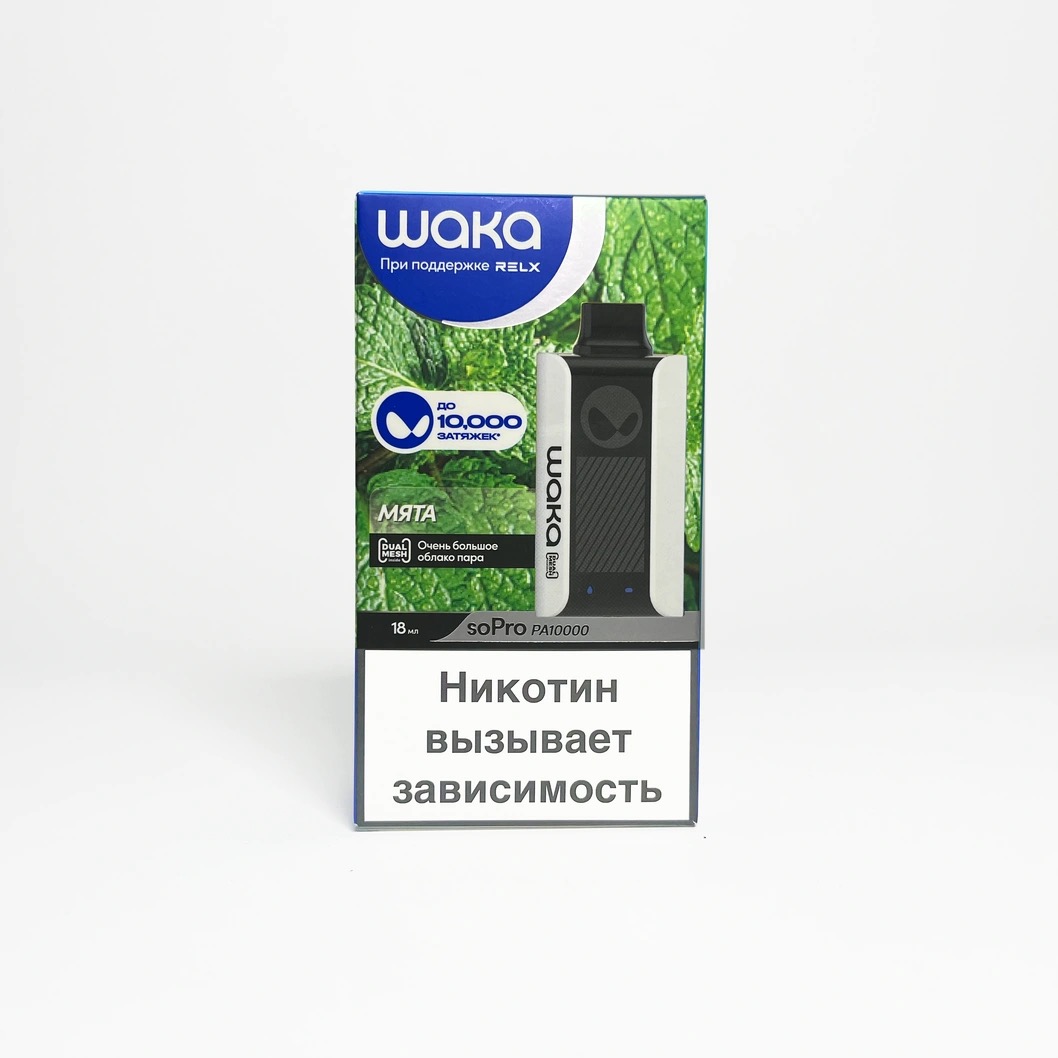 WAKA PA 10000 Мята